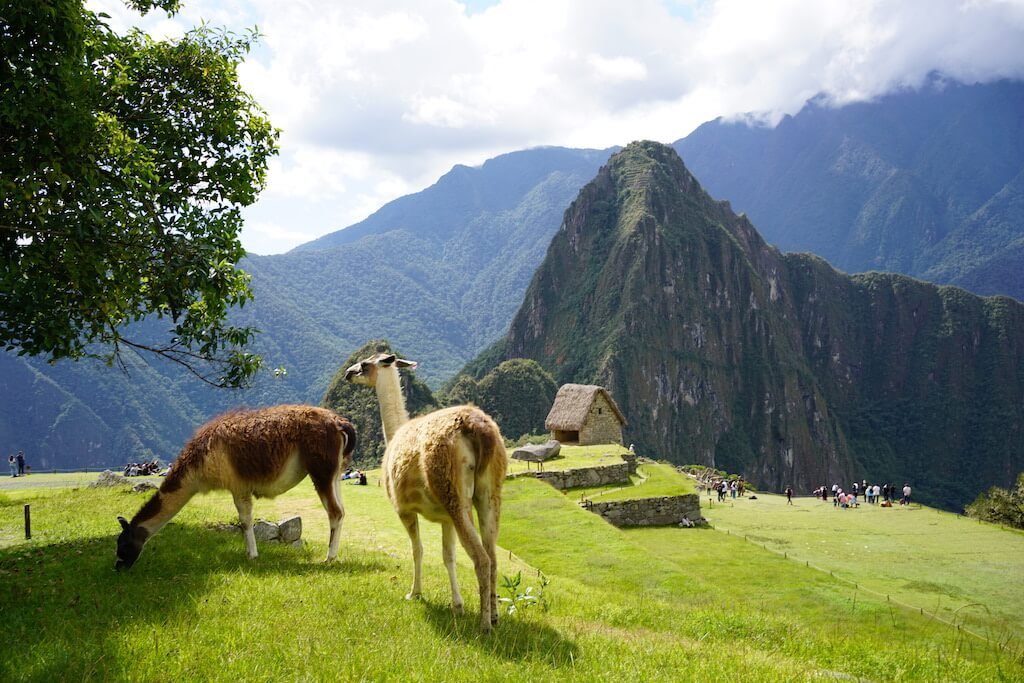 Day Trip to Machu Picchu Peru
