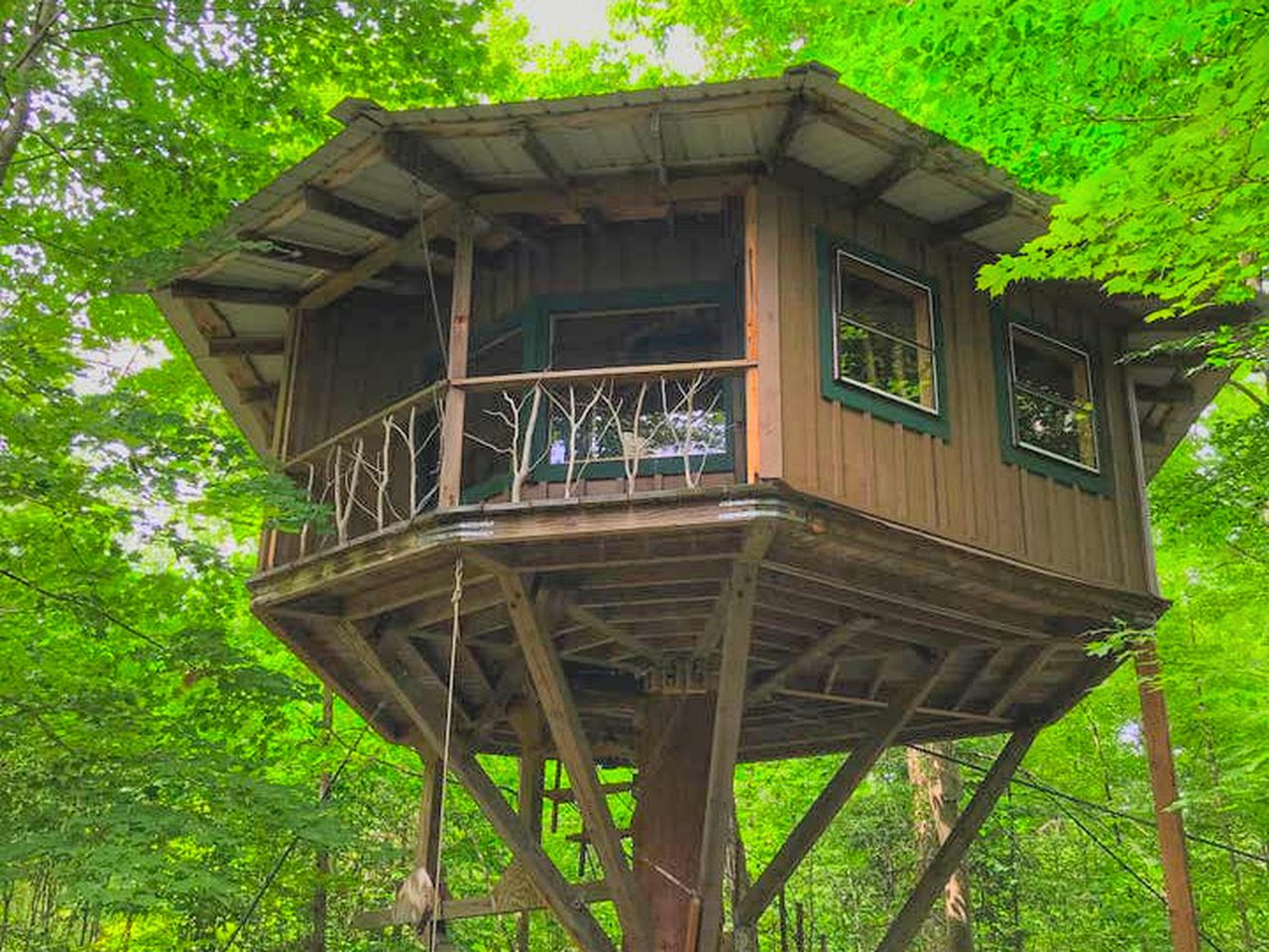 Magical Lakefront Treehouse