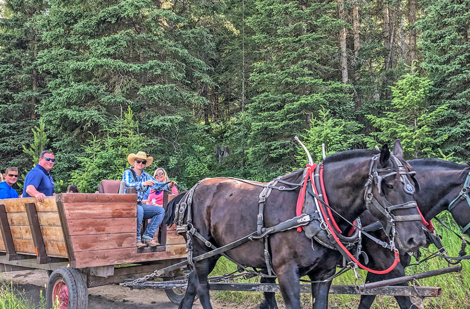 Bar W Guest Ranch