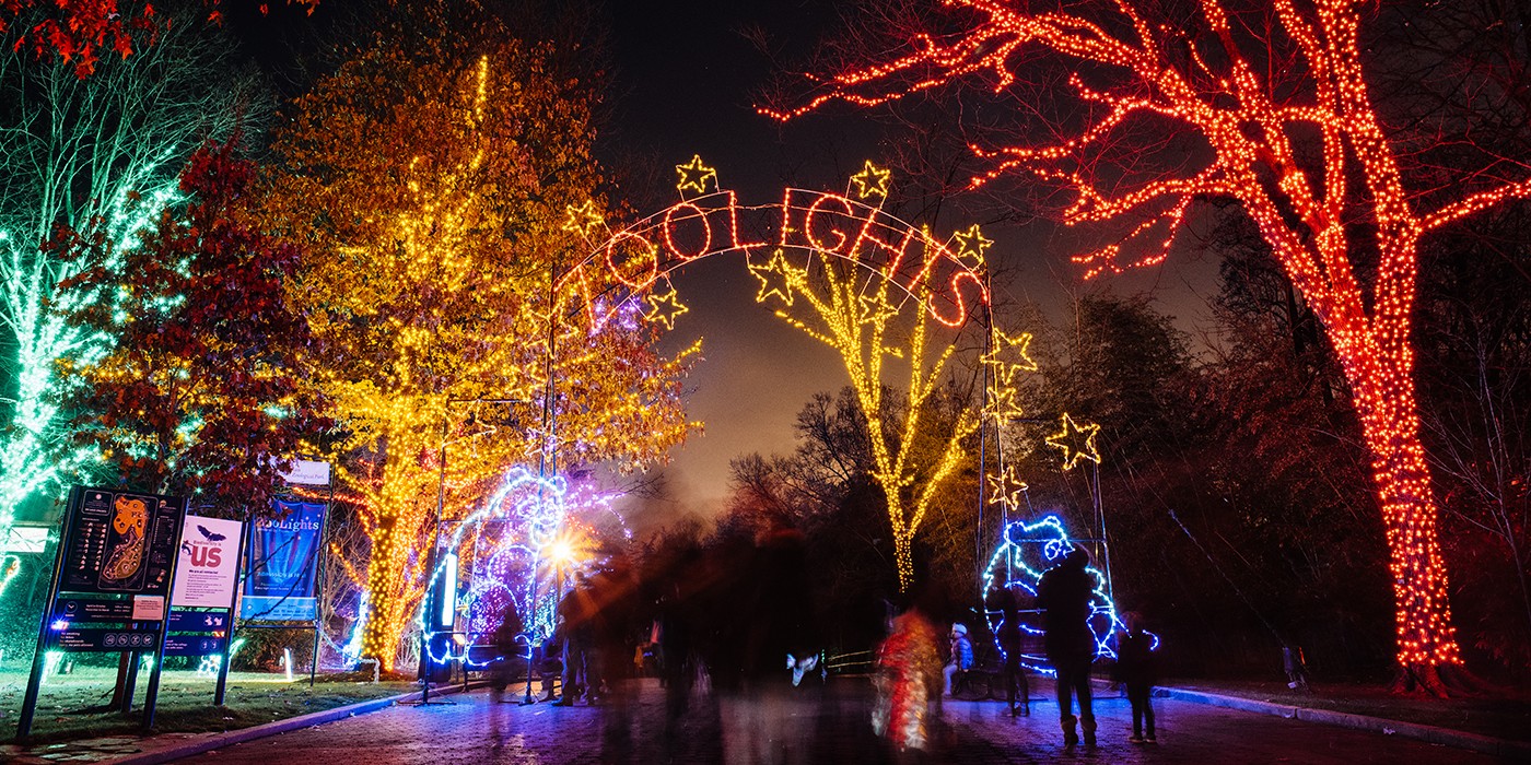 ZooLights at the Smithsonian's National Zoo